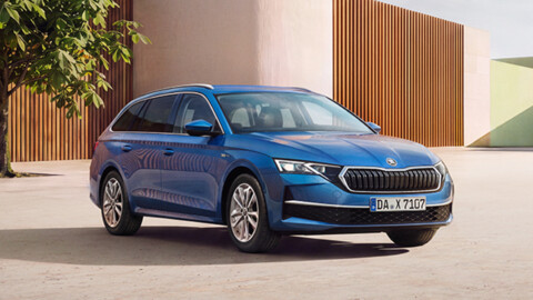 https://hildesheim.autohaus-kuehl.de/_Resources/Persistent/1/a/3/2/1a32b7a13c725ed044fa4876f11f97737217e25e/01_Contentmotive_Octavia_30_1920-480x270.jpg